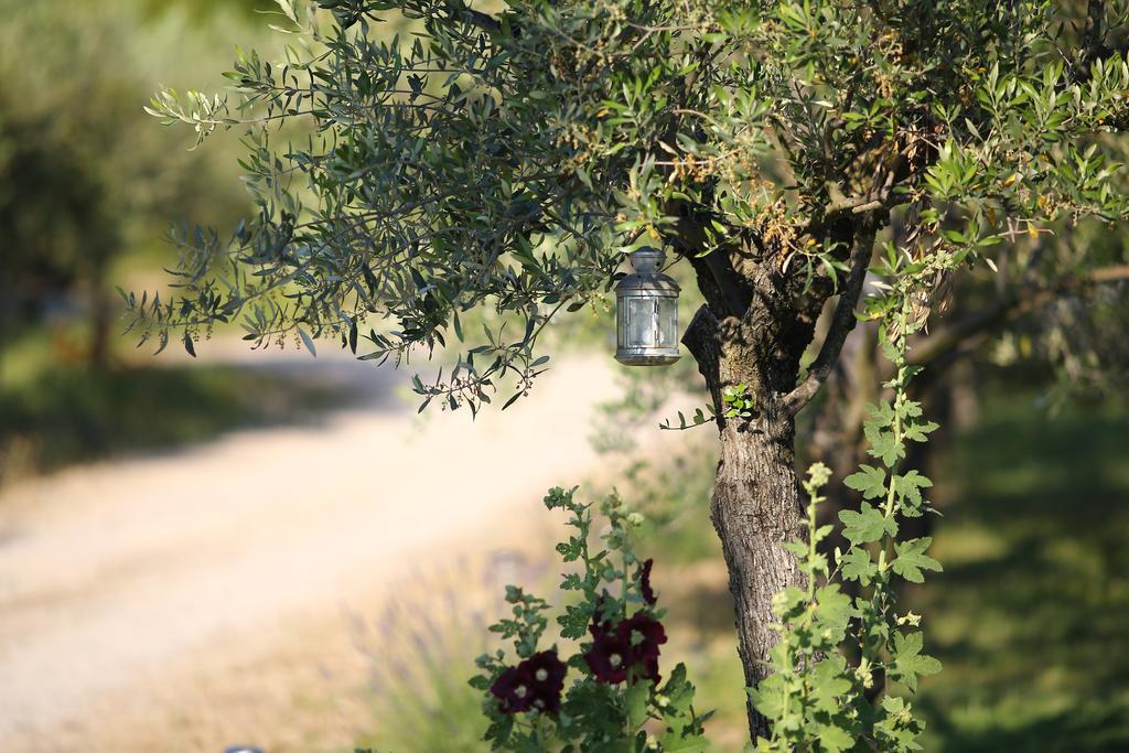 Le Mas En Provence Bed & Breakfast Entrechaux Bagian luar foto